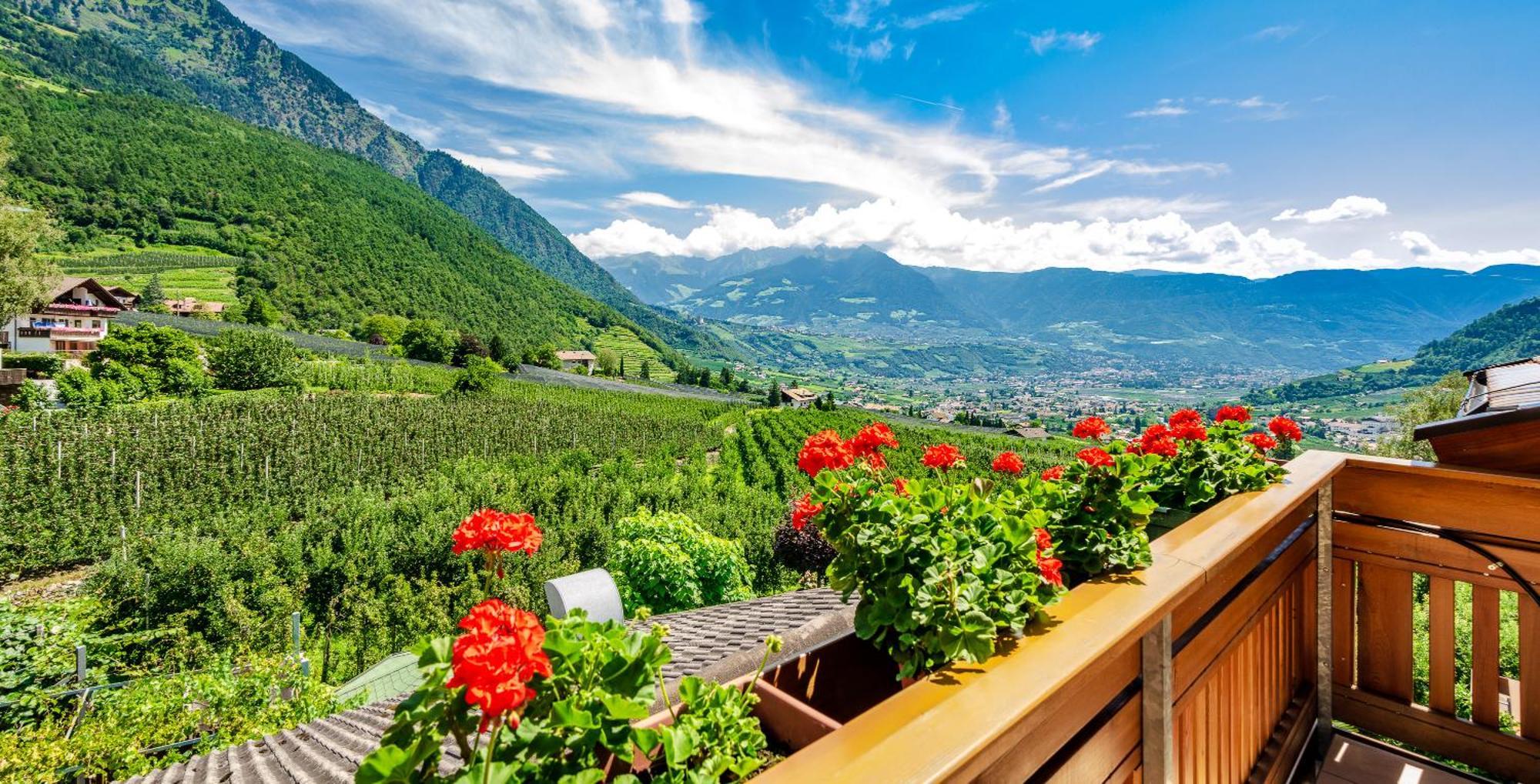 Plarserhof Lagundo Esterno foto