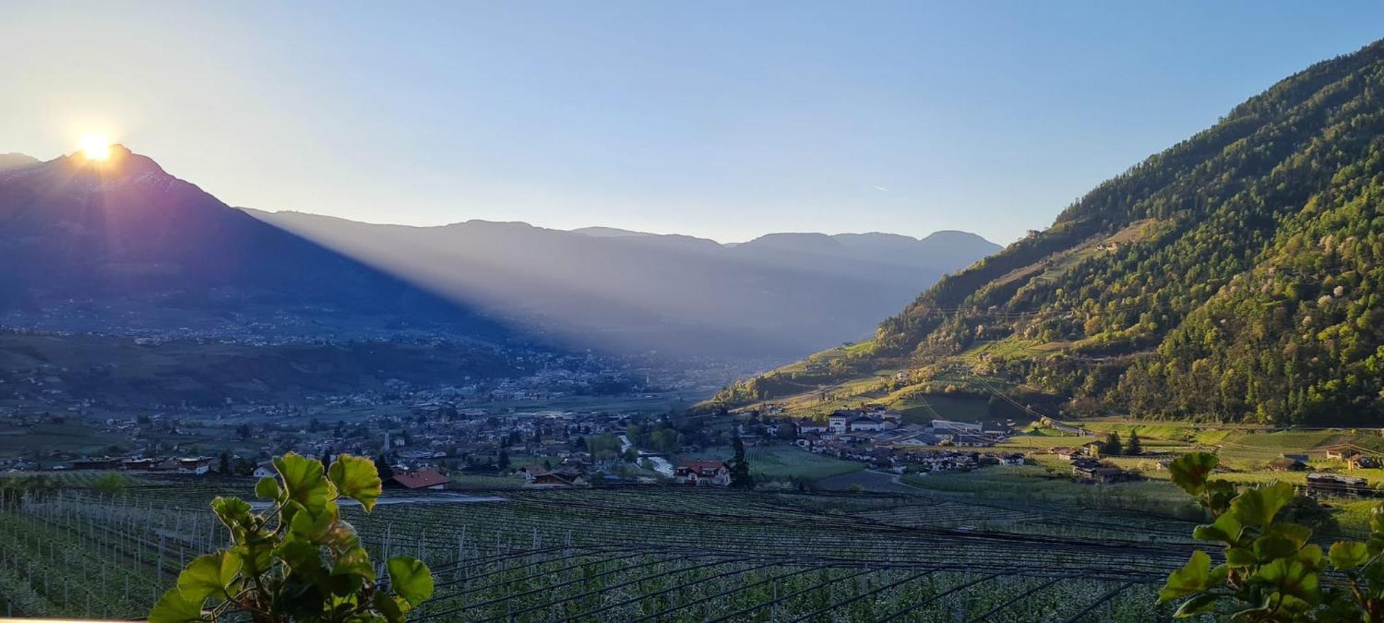 Plarserhof Lagundo Esterno foto